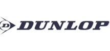 Качественные шины Dunlop